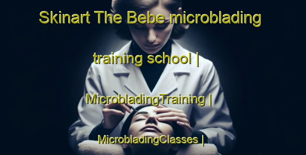 Skinart The Bebe microblading training school | MicrobladingTraining | MicrobladingClasses | SkinartTraining-United States